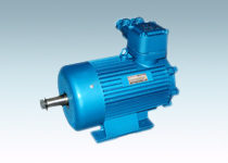 YBZ、YBZS系列起重用隔爆型三相異步電動機